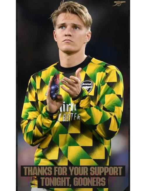 厄德高：遗憾无缘欧洲杯 塞尔维亚踢得比我们好